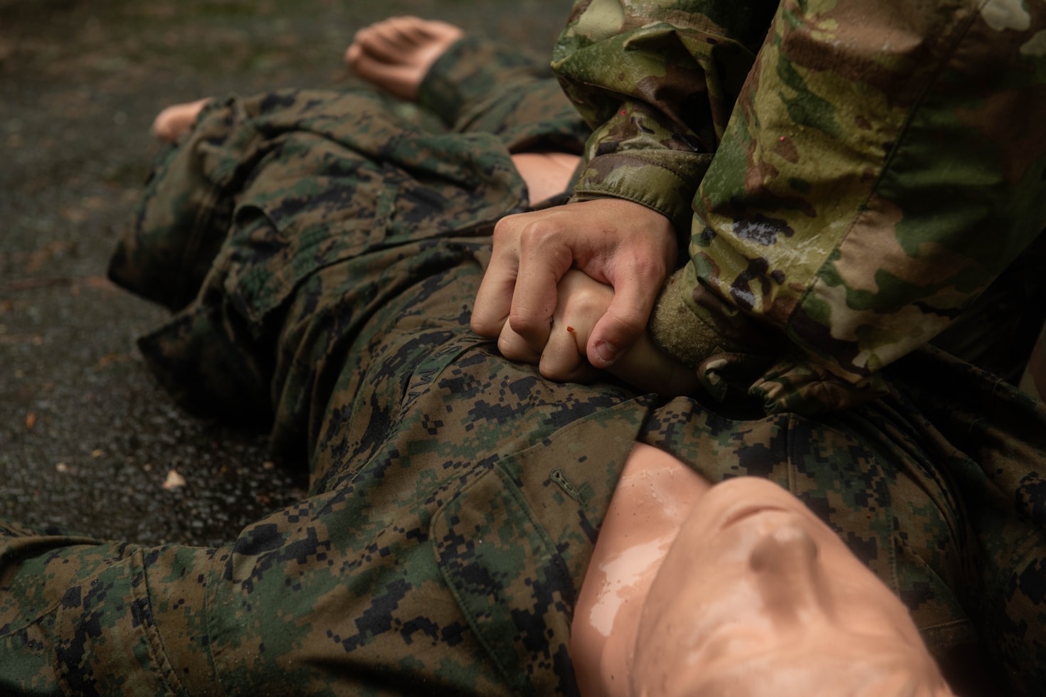 Celebrating the Spirit of the Cootie Auxiliary